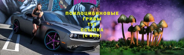дурь Арсеньев