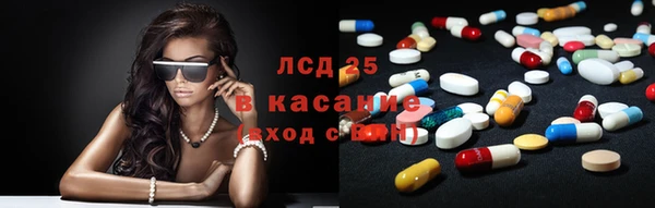 стафф Аркадак