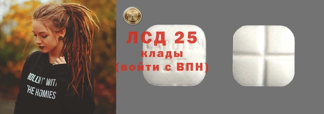 стафф Аркадак