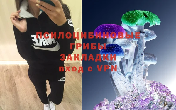 стафф Аркадак