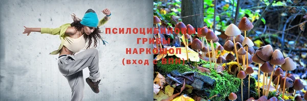 таблы Армянск