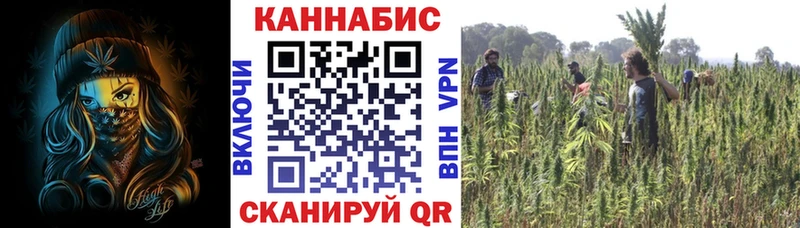 Бошки Шишки семена  Ужур 